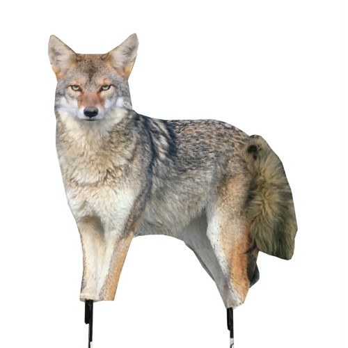 Montana Song Dog Coyote Decoy