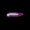 Kershaw Leek Folder Knife - Purple