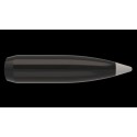 Nosler Ballistic Silvertip 30Cal 180gr Bullets - 50Ct