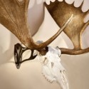 Skull Hooker Big Hooker Long Arm w/2 Prongs Skull Hooker Big Hooker Long Arm w/2 Prongs
