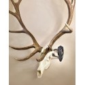 Skull Hooker Big Hooker Long Arm w/2 Prongs Skull Hooker Big Hooker Long Arm w/2 Prongs