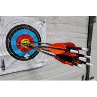 COMPOUND BOW Basic Tune Up -10 Point Inspection COMPOUND BOW Basic Tune Up -10 Point Inspection