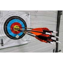 COMPOUND BOW Basic Tune Up -10 Point Inspection COMPOUND BOW Basic Tune Up -10 Point Inspection