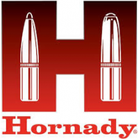 Hornady 17 Cal. .172 20gr V-MAX Bullets - 100/Box