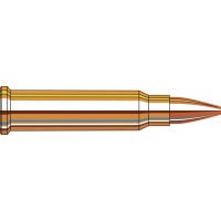 Hornady 17HMR 20gr XTP Ammunition Hornady 17HMR 20gr XTP Ammunition