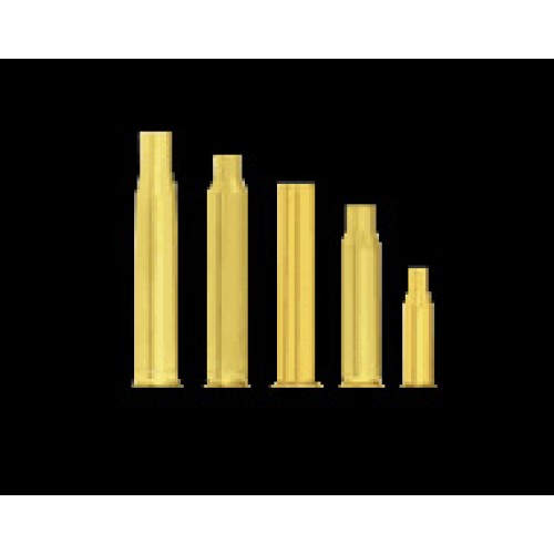 Winchester Unprimed 308 Brass - 50 Per Bag
