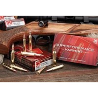 Hornady Superformance 204 Ruger 40gr V-Max Ammunition