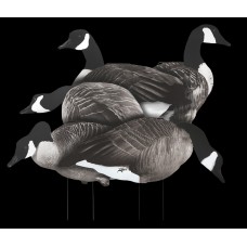 White Rock 2D Canada Goose Silhouettes - Dozen