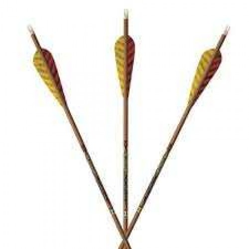 Easton Axis Traditional Carbon Arrows 6PK - Fletched w/Feathers Easton Axis Traditional Carbon Arrows 6PK - Fletched w/Feathers