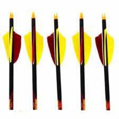Black Eagle Outlaw *Feather* Fletched Arrows 600 - 1/2 Dozen