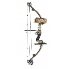 Used Golden Eagle 50#-60# RH Compound Bow