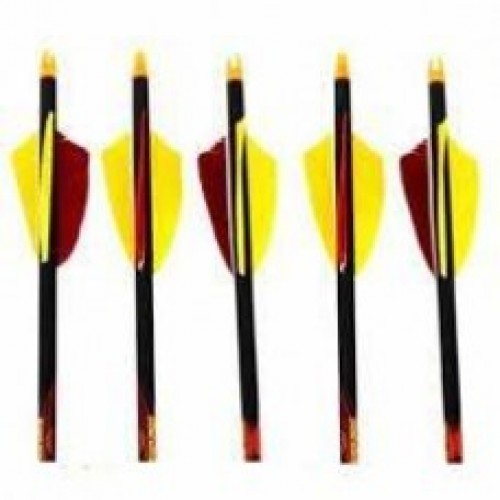 Black Eagle Outlaw *Feather* Fletched Arrows 400 - 1/2 Dozen Black Eagle Outlaw *Feather* Fletched Arrows 400 - 1/2 Dozen