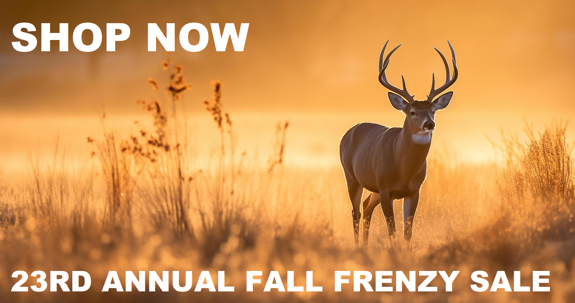FALL FRENZY SALE